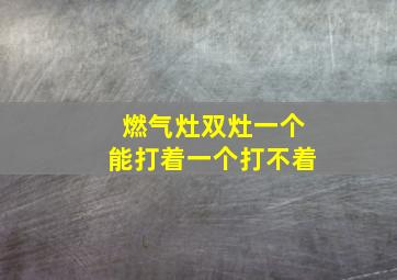 燃气灶双灶一个能打着一个打不着