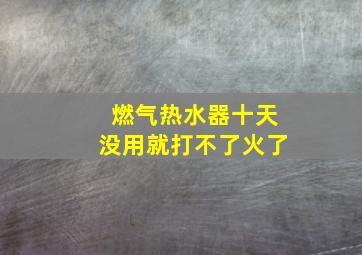 燃气热水器十天没用就打不了火了