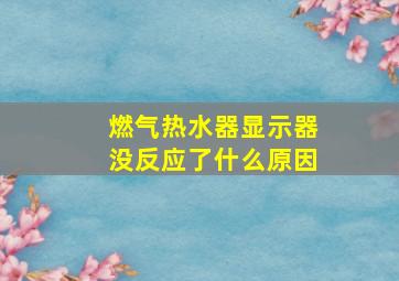 燃气热水器显示器没反应了什么原因