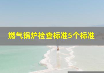 燃气锅炉检查标准5个标准