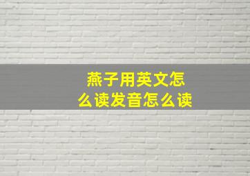 燕子用英文怎么读发音怎么读