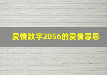 爱情数字2056的爱情意思