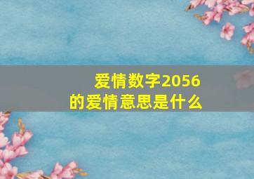 爱情数字2056的爱情意思是什么