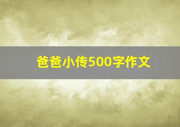 爸爸小传500字作文