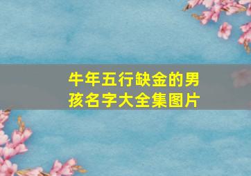 牛年五行缺金的男孩名字大全集图片