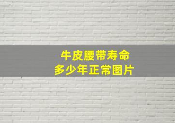 牛皮腰带寿命多少年正常图片