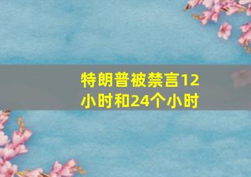 特朗普被禁言12小时和24个小时