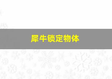 犀牛锁定物体