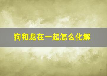 狗和龙在一起怎么化解