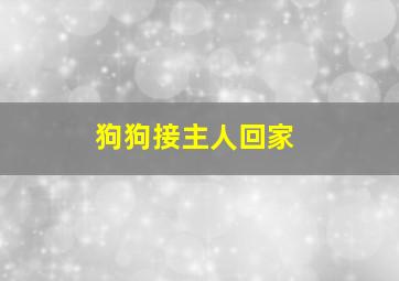 狗狗接主人回家