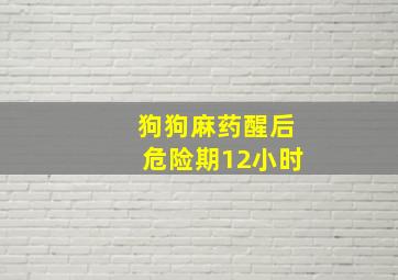 狗狗麻药醒后危险期12小时