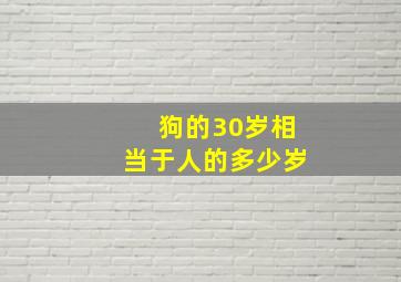 狗的30岁相当于人的多少岁