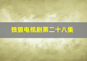 独狼电视剧第二十八集