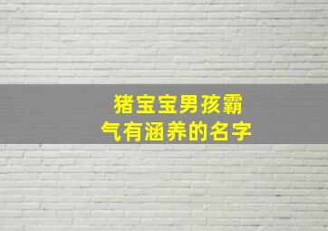 猪宝宝男孩霸气有涵养的名字