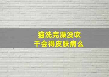 猫洗完澡没吹干会得皮肤病么