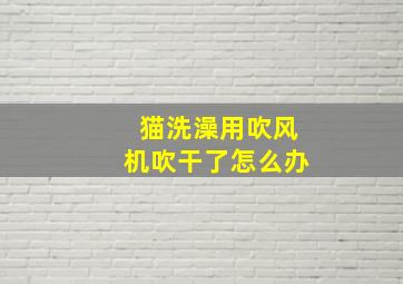 猫洗澡用吹风机吹干了怎么办