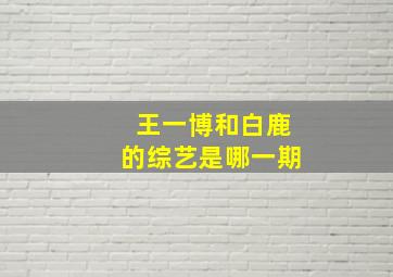 王一博和白鹿的综艺是哪一期