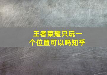 王者荣耀只玩一个位置可以吗知乎