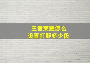 王者荣耀怎么设置打野多少段