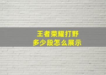 王者荣耀打野多少段怎么展示