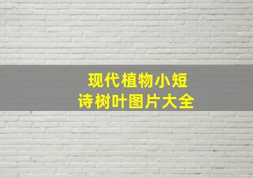 现代植物小短诗树叶图片大全