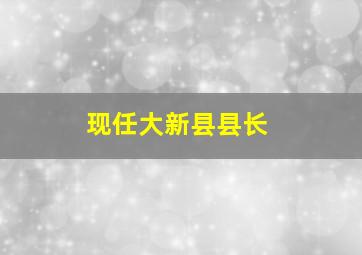 现任大新县县长