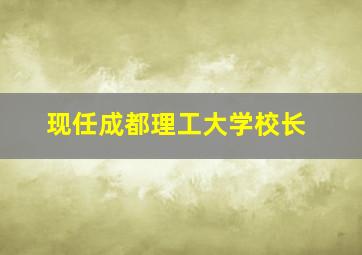 现任成都理工大学校长