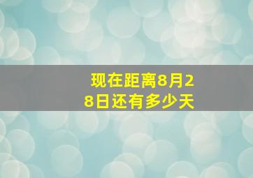 现在距离8月28日还有多少天