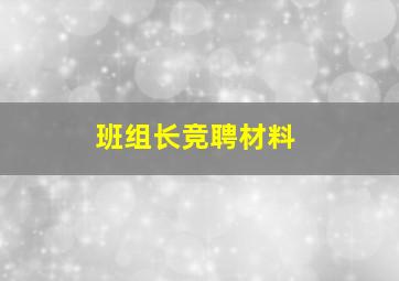 班组长竞聘材料