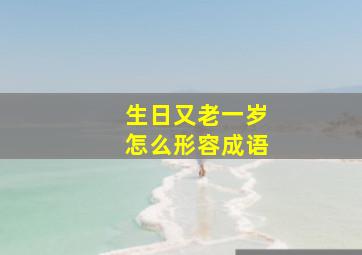 生日又老一岁怎么形容成语