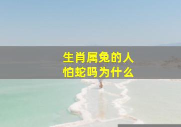 生肖属兔的人怕蛇吗为什么