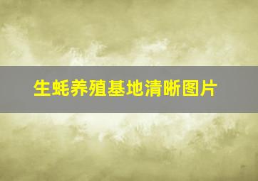 生蚝养殖基地清晰图片