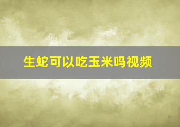 生蛇可以吃玉米吗视频