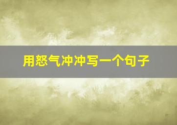 用怒气冲冲写一个句子