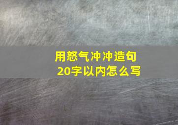 用怒气冲冲造句20字以内怎么写