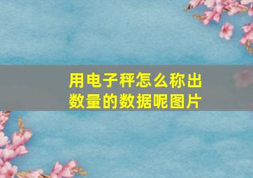 用电子秤怎么称出数量的数据呢图片