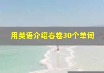 用英语介绍春卷30个单词