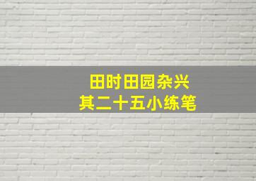 田时田园杂兴其二十五小练笔