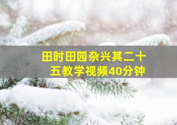 田时田园杂兴其二十五教学视频40分钟