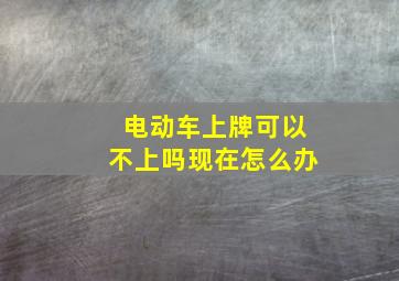 电动车上牌可以不上吗现在怎么办