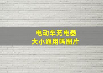 电动车充电器大小通用吗图片