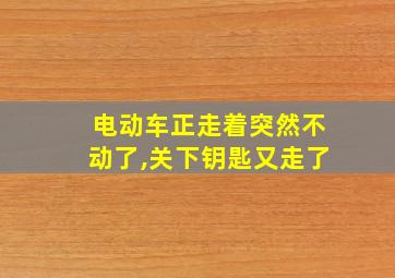 电动车正走着突然不动了,关下钥匙又走了