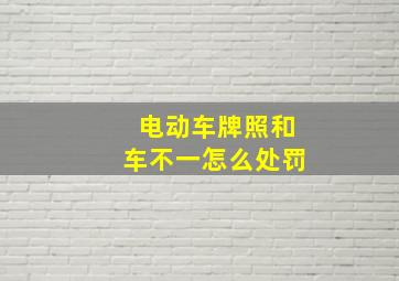 电动车牌照和车不一怎么处罚