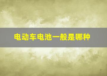 电动车电池一般是哪种