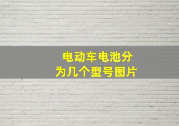 电动车电池分为几个型号图片