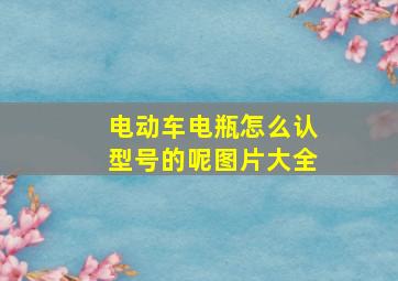 电动车电瓶怎么认型号的呢图片大全