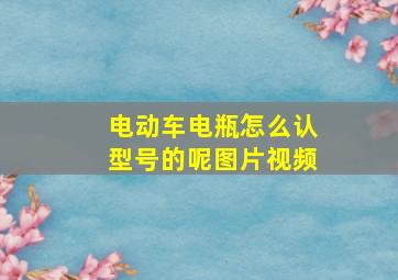 电动车电瓶怎么认型号的呢图片视频