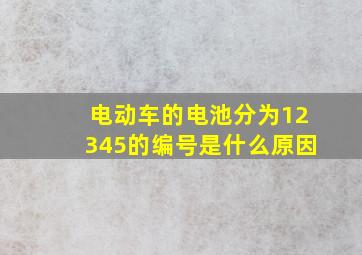 电动车的电池分为12345的编号是什么原因