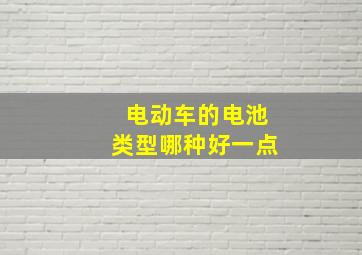 电动车的电池类型哪种好一点