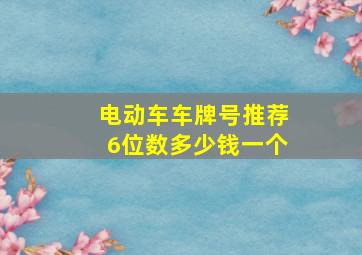 电动车车牌号推荐6位数多少钱一个